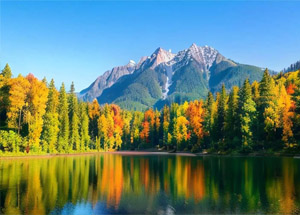 森林防火预警广播监控系统方案